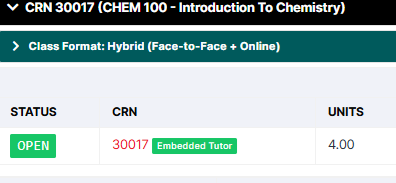 Embedded Tutor